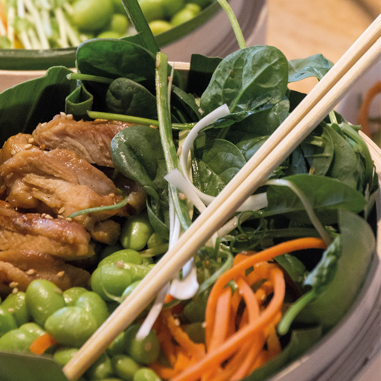 Teriyaki Spring Bowl